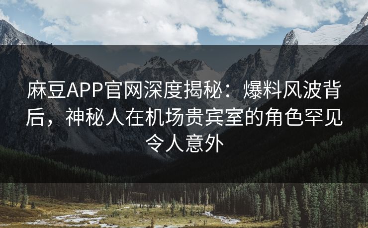 麻豆APP官网深度揭秘：爆料风波背后，神秘人在机场贵宾室的角色罕见令人意外