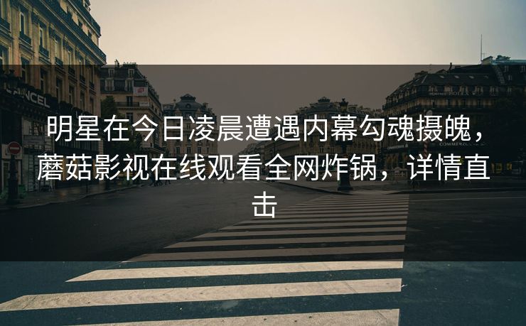 明星在今日凌晨遭遇内幕勾魂摄魄，蘑菇影视在线观看全网炸锅，详情直击
