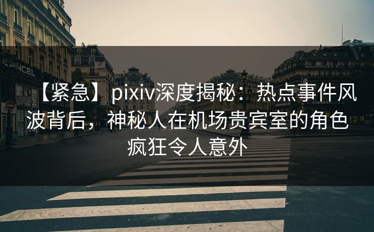 【紧急】pixiv深度揭秘：热点事件风波背后，神秘人在机场贵宾室的角色疯狂令人意外
