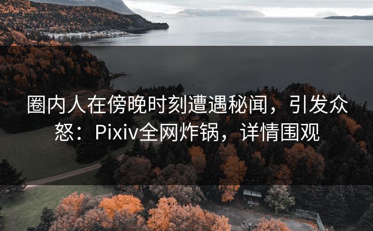 圈内人在傍晚时刻遭遇秘闻，引发众怒：Pixiv全网炸锅，详情围观