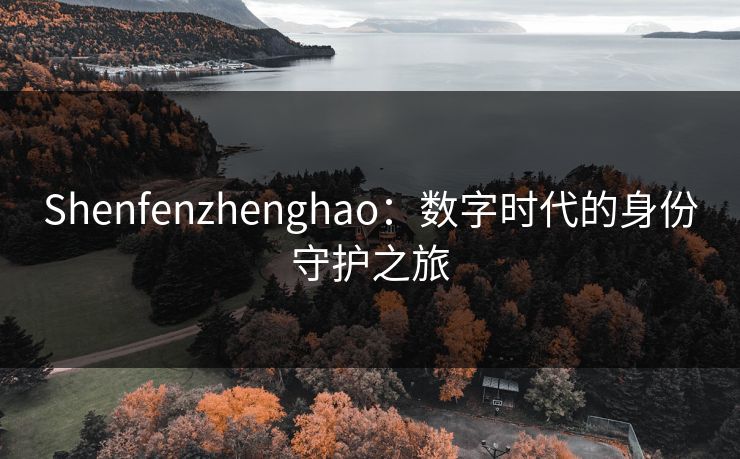 Shenfenzhenghao：数字时代的身份守护之旅