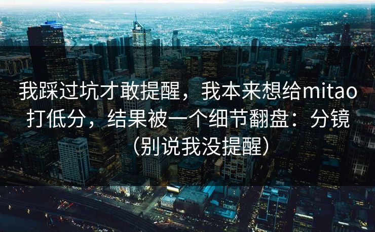 我踩过坑才敢提醒，我本来想给mitao打低分，结果被一个细节翻盘：分镜（别说我没提醒）